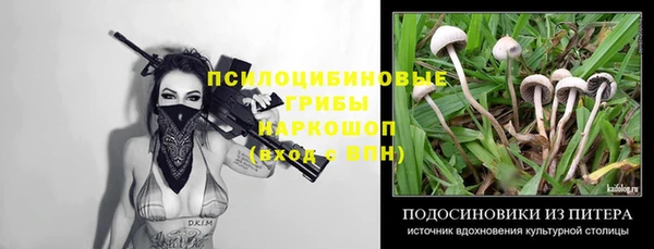 ешки Абинск