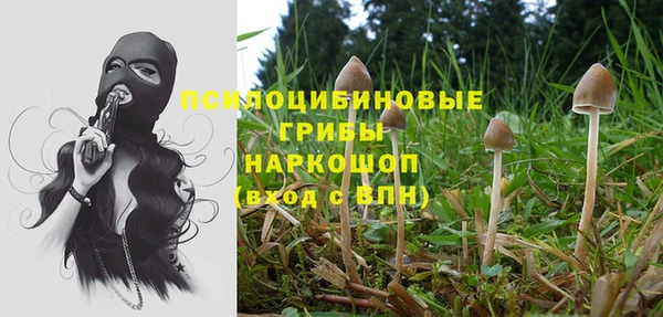 гидропоника Абаза