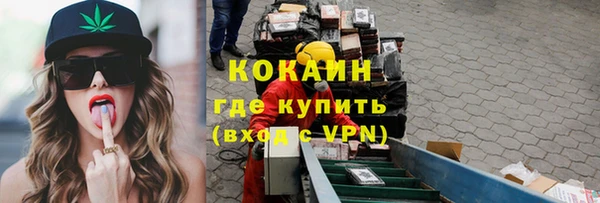 индика Алексеевка
